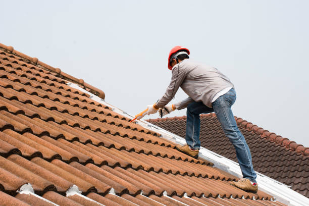 Best Asphalt Shingle Roofing  in Cross Roads, TX